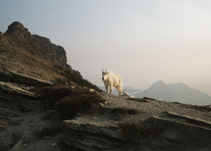 Field Notes: Exploring Glacier National Park