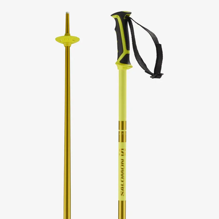 Salomon - Unisex Arctic Ski Pole